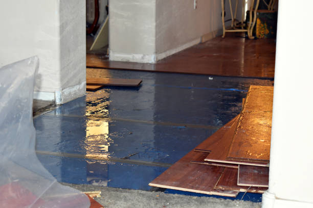 Professional Burst Pipe Cleanup technician working in Howard City, MI