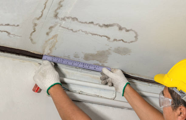 Reliable Burst Pipe Cleanup contractor in Howard City, MI by Water Damage Irwin